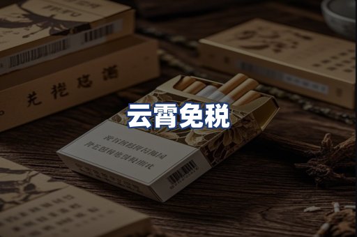 云霄免税